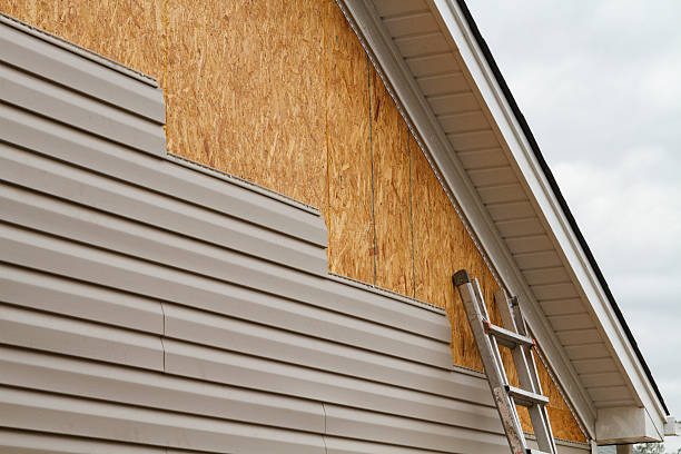 Professional Siding Repair technician working in Auburn, IL